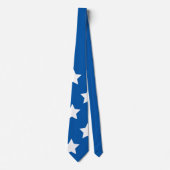 Amerikaanse vlaggestars stropdas (Voorkant)