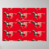 Amerikaanse vlagpaard met Thunder_Cove Poster (Voorkant)