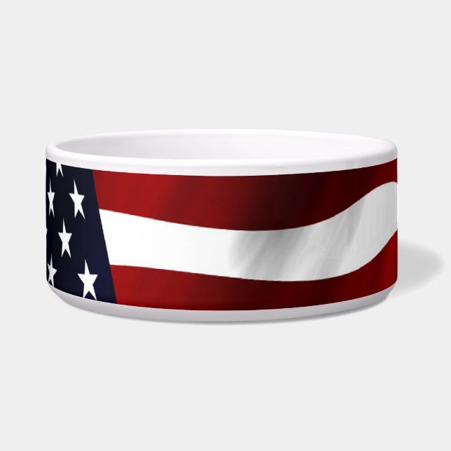 Amerikaanse vlagpatriottische onafhankelijkheidsda voerbakje (Voorkant)