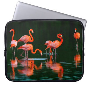 Amerikaanse vlammen met Reflecties Resting en Fo Laptop Sleeve
