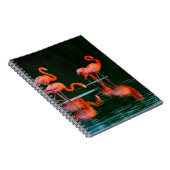 Amerikaanse vlammen met Reflecties Resting en Fo Notitieboek (Rechterzijde)