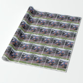 Amerikaanse voetbal in het net cadeaupapier (Uitgerold)