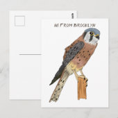 Amerikaanse vogelafbeelding briefkaart (Voorkant / Achterkant)