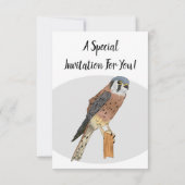 Amerikaanse vogelafbeelding kaart (Achterkant)