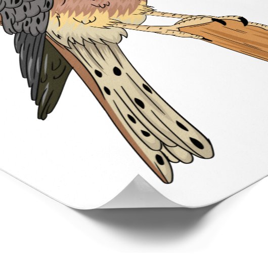 Amerikaanse vogelafbeelding poster (Hoek)