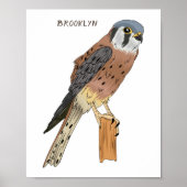 Amerikaanse vogelafbeelding poster (Voorkant)