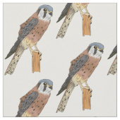 Amerikaanse vogelafbeelding stof (Close Up)