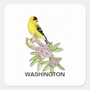 Amerikaanse vogelbloem vierkante sticker