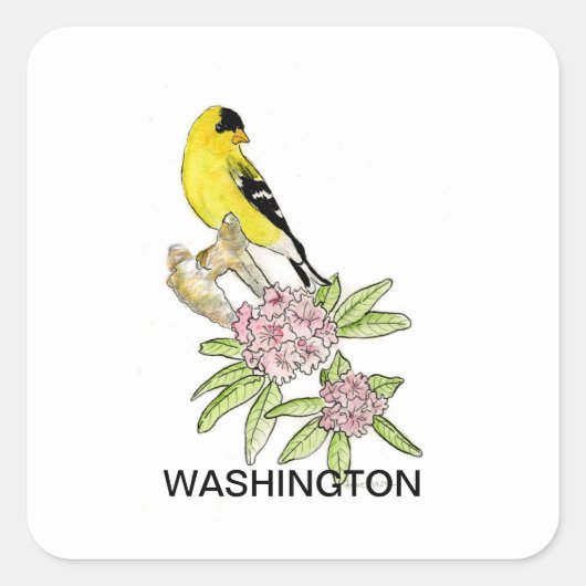 Amerikaanse vogelbloem vierkante sticker (Voorkant)