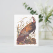 Amerikaanse vogels in het wild - herfst van Turkij Briefkaart (Staand voorkant)