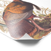 Amerikaanse vogels in het wild - herfst van Turkij Foto Afdruk (Hoek)