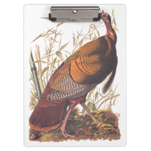 Amerikaanse vogels in het wild - herfst van Turkij Klembord