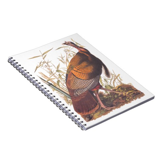 Amerikaanse vogels in het wild - herfst van Turkij Notitieboek (Rechterzijde)