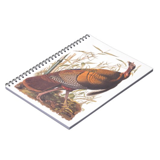 Amerikaanse vogels in het wild - herfst van Turkij Notitieboek (Linkerzijde)