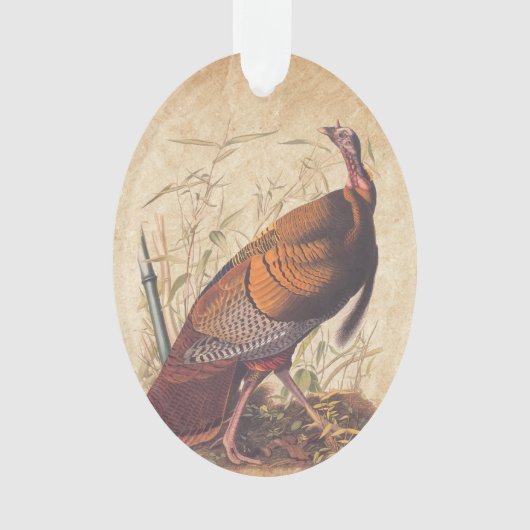 Amerikaanse vogels in het wild - herfst van Turkij Ornament (voorkant)