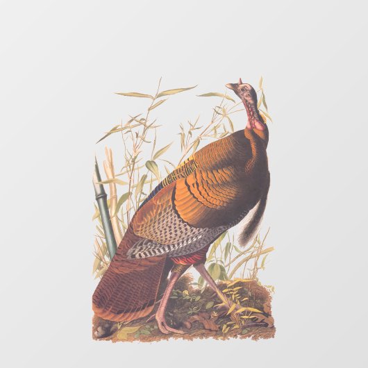 Amerikaanse vogels in het wild - herfst van Turkij Raamsticker (Vel)