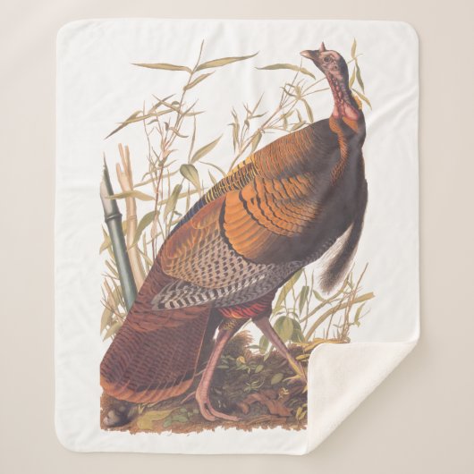 Amerikaanse vogels in het wild - herfst van Turkij Sherpa Deken (Voorkant)