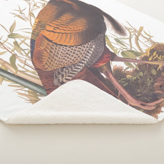 Amerikaanse vogels in het wild - herfst van Turkij Sherpa Deken (3/4)