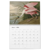 Amerikaanse vogels kalender (Mar 2026)