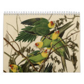 Amerikaanse vogels kalender (Hoes)