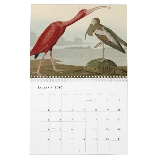 Amerikaanse vogels kalender (Jan 2026)