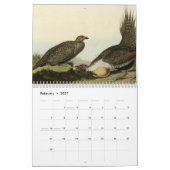 Amerikaanse vogels kalender (Feb 2027)