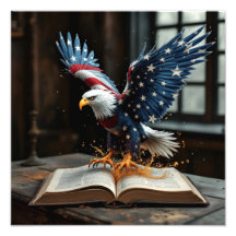 Amerikaanse vrijheid onthuld