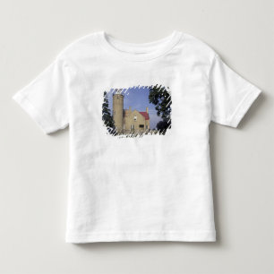 Amerikaanse vuurtoren van Michigan Old Mackinac Po Kinder Shirts