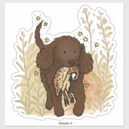 Amerikaanse Water Spaniel Auto Sticker