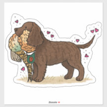 Amerikaanse Water Spaniel Auto Sticker