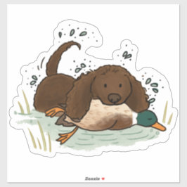 Amerikaanse Water Spaniel Auto Sticker
