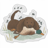 Amerikaanse Water Spaniel Auto Sticker (Voorkant)
