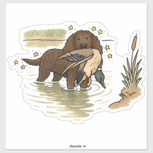 Amerikaanse Water Spaniel Auto Sticker (Vel)
