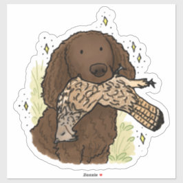 Amerikaanse Water Spaniel Autodecal Sticker