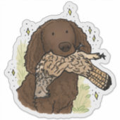 Amerikaanse Water Spaniel Autodecal Sticker (Voorkant)