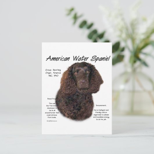 Amerikaanse Water Spaniel Geschiedenis Briefkaart (Staand voorkant)