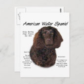 Amerikaanse Water Spaniel Geschiedenis Briefkaart (Voorkant / Achterkant)