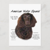 Amerikaanse Water Spaniel Geschiedenis Briefkaart (Voorkant)