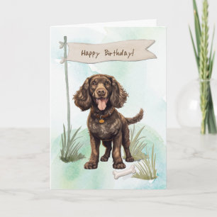 Amerikaanse Water Spaniel Hond Onder Verjaardagsbo Kaart