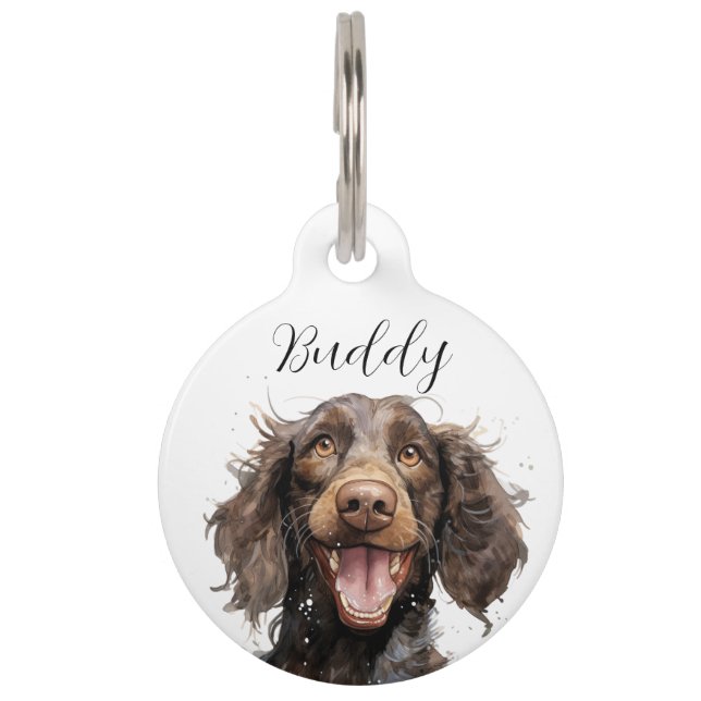 Amerikaanse Water Spaniel naam ID hanger Huisdierpenning (Voorkant)