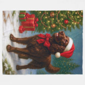 Amerikaanse Water Spaniel Vakantie  Fleece Deken (Voorkant (Horizontaal))