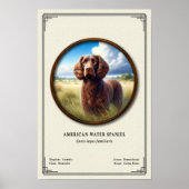 Amerikaanse Water Spaniel Zoölogie Serie Poster (Voorkant)