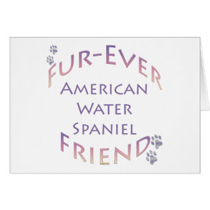 Amerikaanse waterspaniel Furever