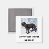 Amerikaanse waterspaniël magneet (Voorkant / Achterkant)