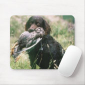 Amerikaanse waterspaniel Mousepad Muismat (Met muis)