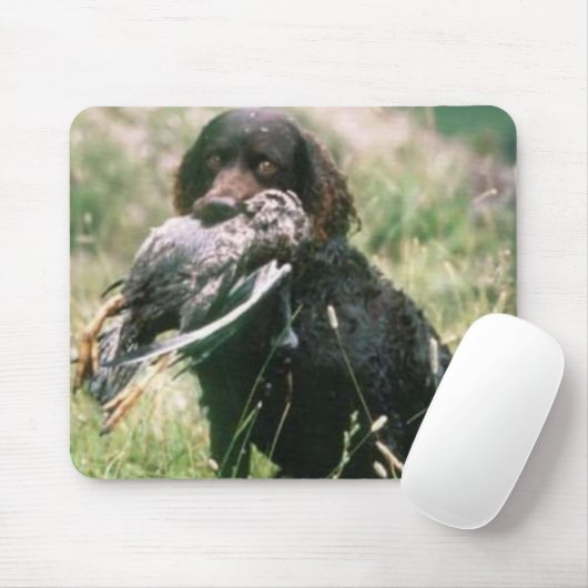 Amerikaanse waterspaniel Mousepad Muismat (Met muis)