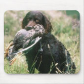 Amerikaanse waterspaniel Mousepad Muismat (Voorkant)