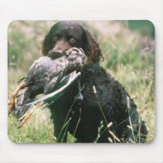 Amerikaanse waterspaniel Mousepad Muismat (Voorkant)