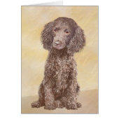 Amerikaanse waterspaniel schilderen - Oorspronkeli (Voorkant)