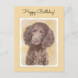 Amerikaanse waterspaniel schilderen - Oorspronkeli Briefkaart